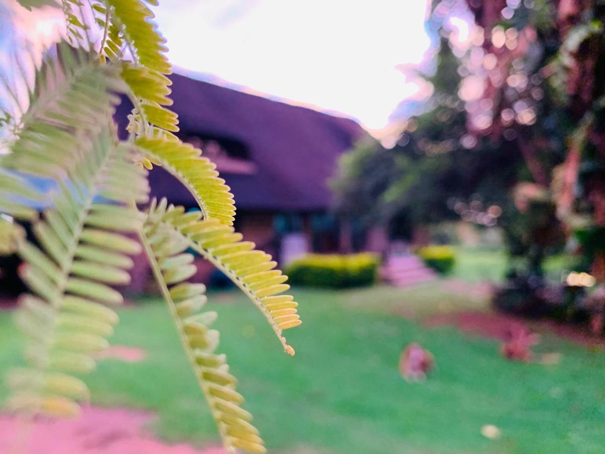 Farm Vibes Guesthouse Brits Buitenkant foto